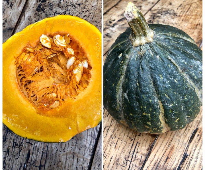 potimarron vert - découvertes - à la bonne tambouille - Crédit photo : Élodie Berchotteau